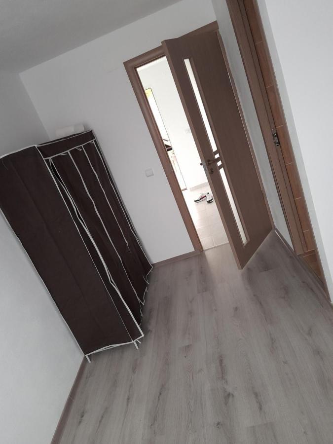 מלון Cîrţişoara Casa Alex מראה חיצוני תמונה