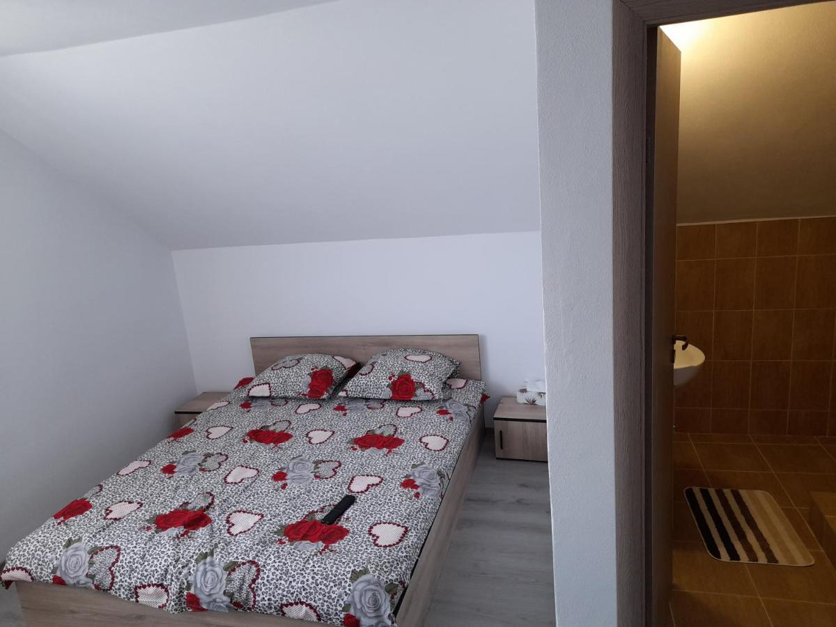 מלון Cîrţişoara Casa Alex מראה חיצוני תמונה